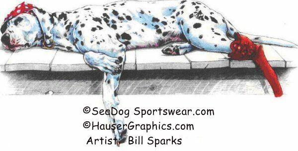 Great Hand Drawn artwork of Sea Dog at LargoCargo.com  