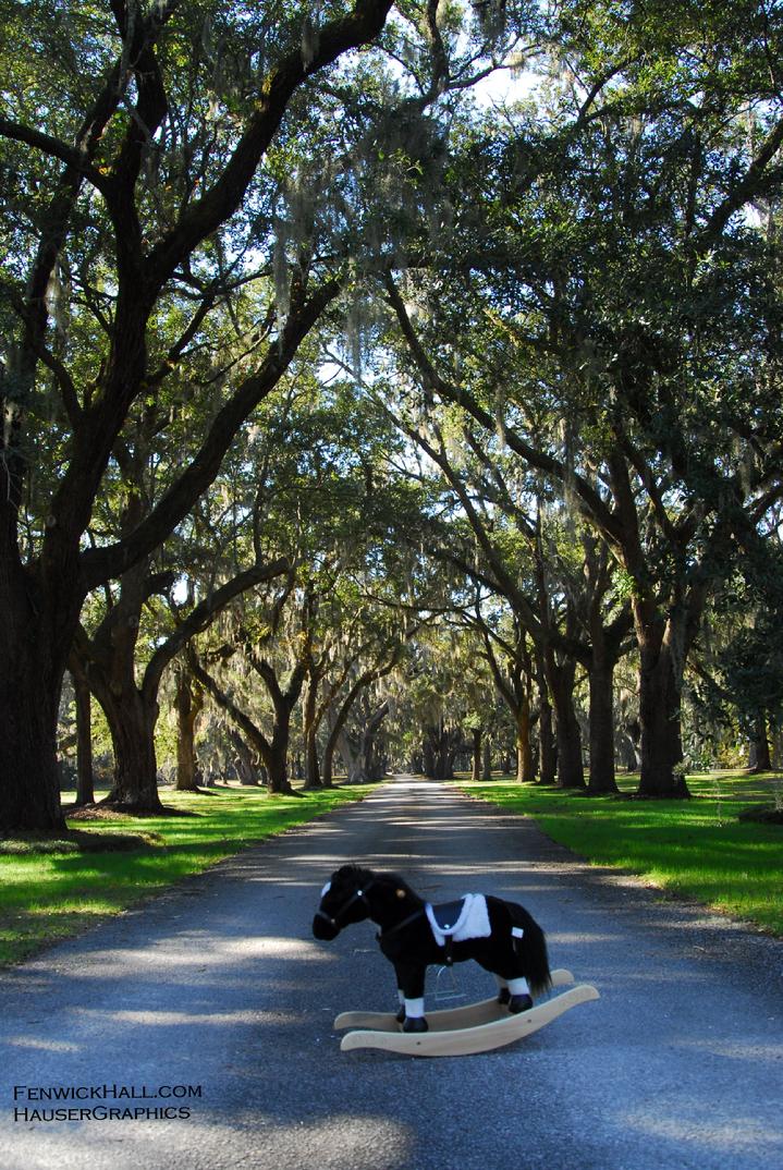 Fenwick Horses, HauserGraphics, Johns Island horses, Oak alley,  Fenwick Hall, Stono Plantations, toy horse, horse rocker